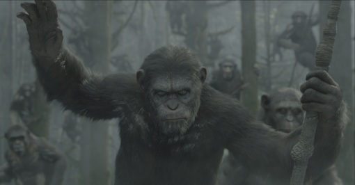 dawn of the planet of the apes still 